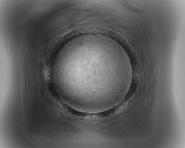 X0000087561490200704271216