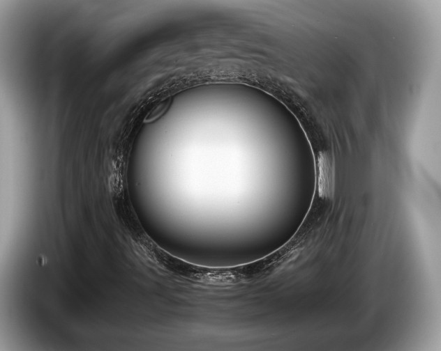 X0000087561491200704271217