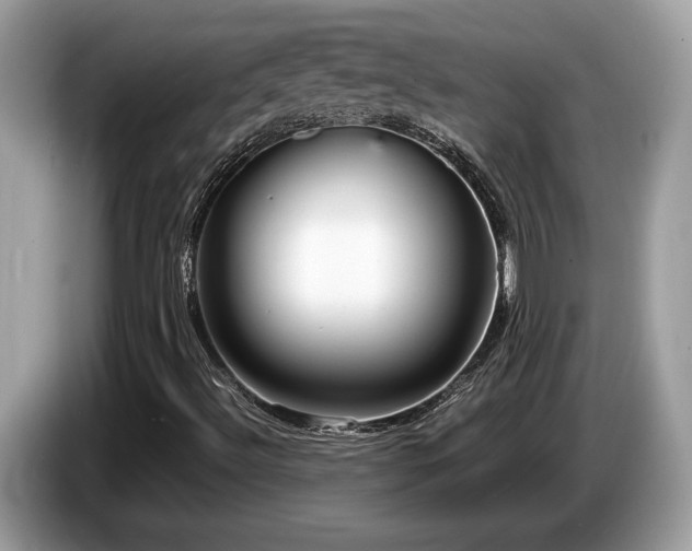 X0000087561492200704271217