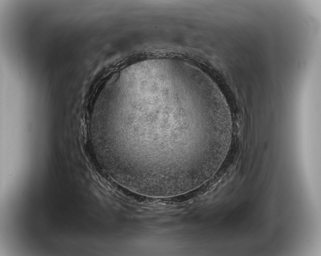 X0000087561493200704271217