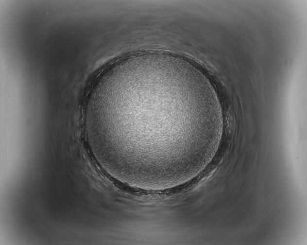 X0000087561494200704271217
