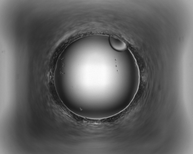 X0000087561495200704271217