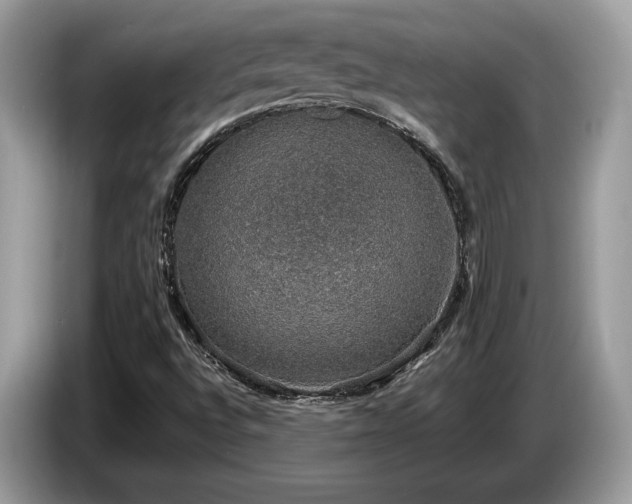 X0000087561496200704271217