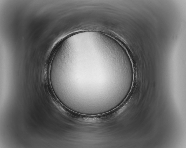 X0000087561498200704271217