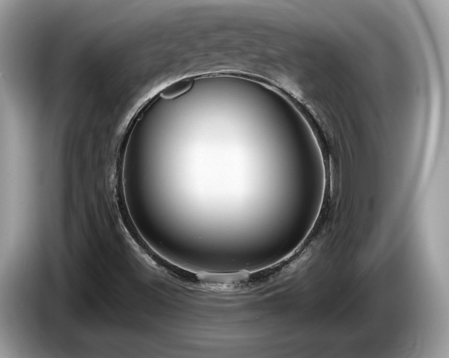 X0000087561500200704271217