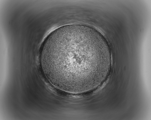 X0000087561501200704271217