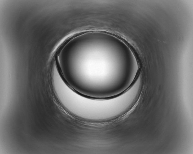 X0000087561502200704271217