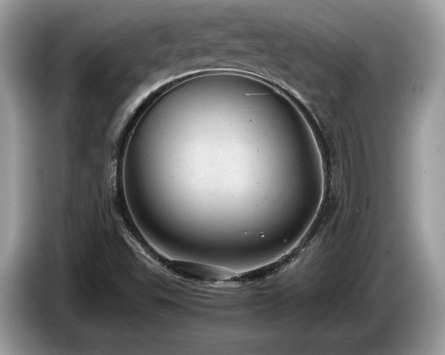 X0000087561503200704271217