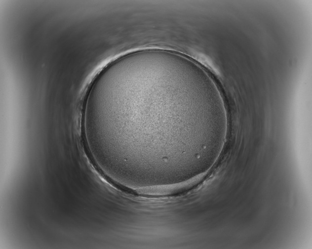 X0000087561504200704271217
