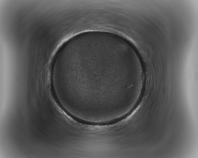 X0000087561506200704271217