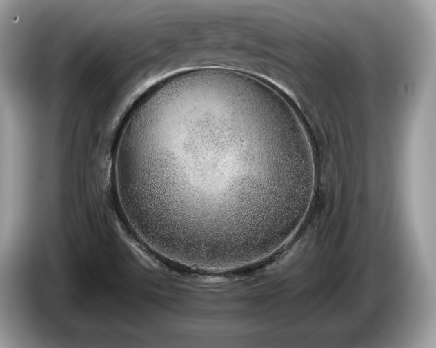 X0000087561507200704271217