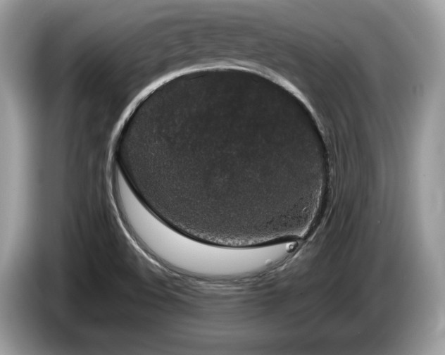 X0000087561508200704271217