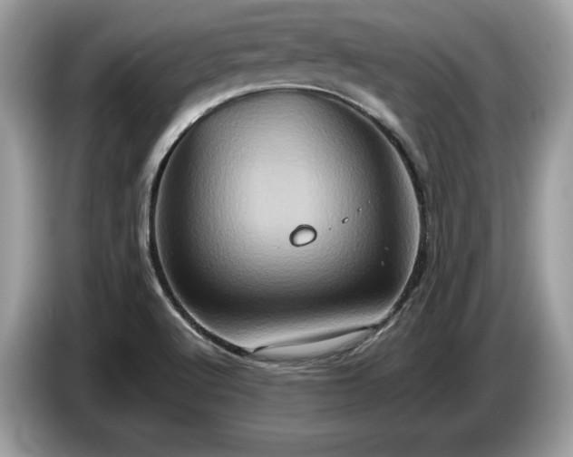 X0000087561512200704271217