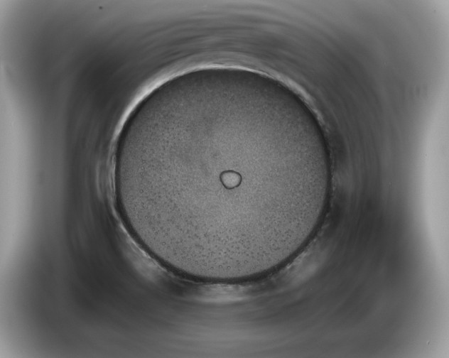 X0000087561514200704271217