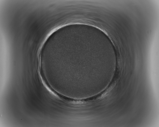 X0000087561515200704271217