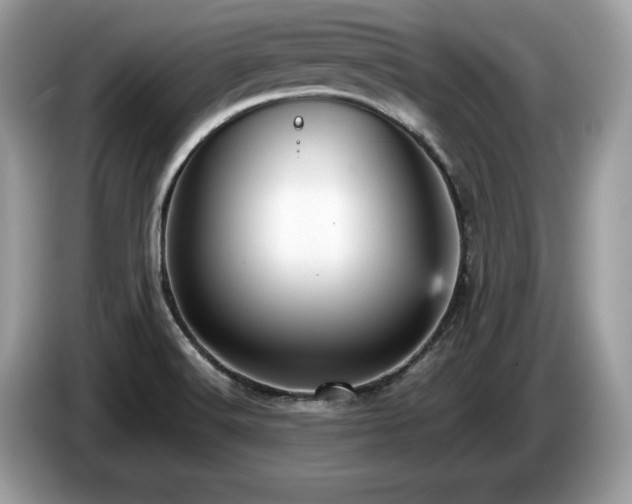 X0000087561516200704271217