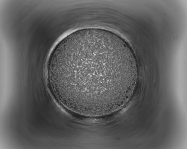 X0000087561517200704271217