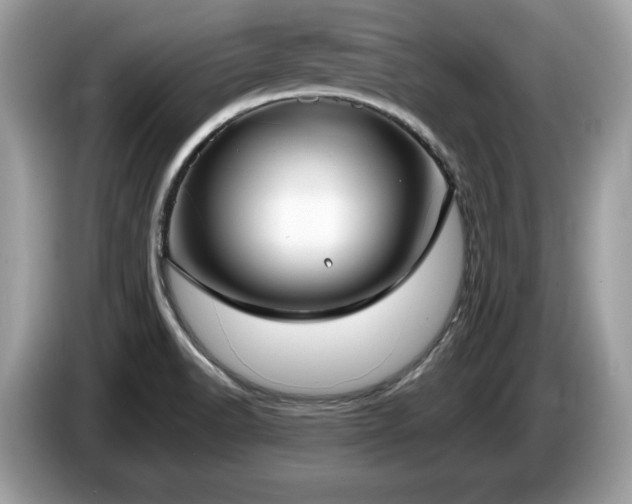 X0000087561518200704271217