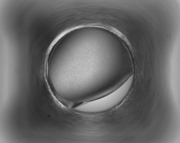 X0000087561520200704271217