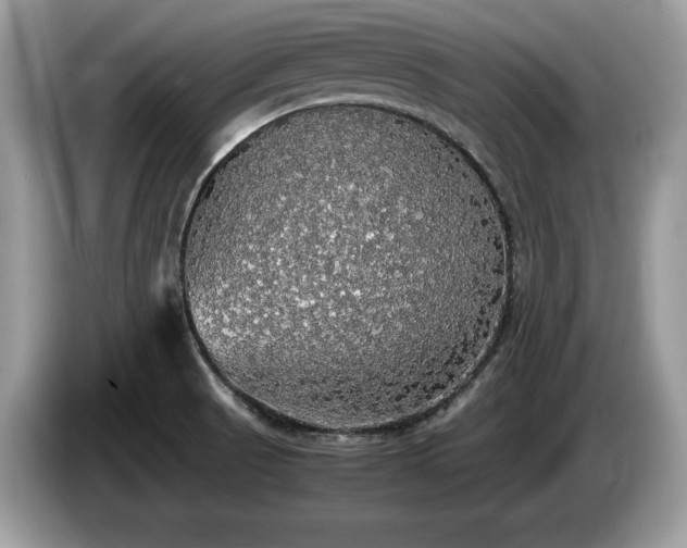 X0000087561521200704271217