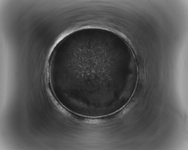 X0000087561522200704271217