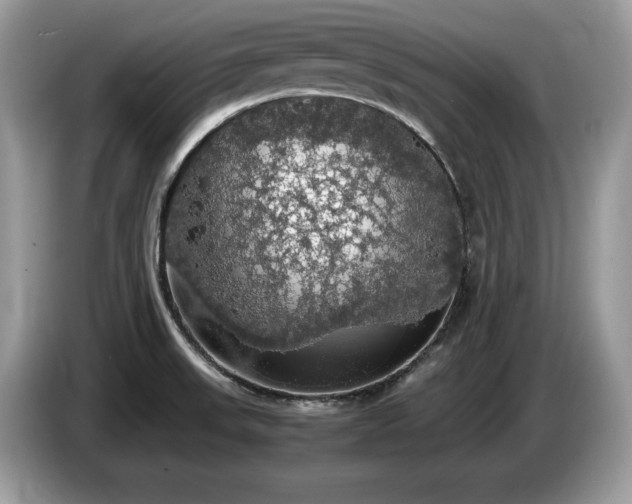 X0000087561523200704271217