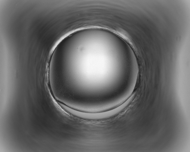 X0000087561524200704271217