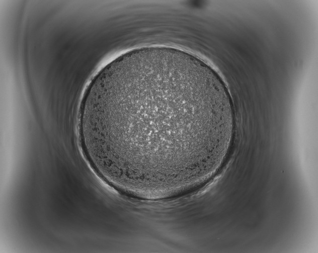 X0000087561525200704271217
