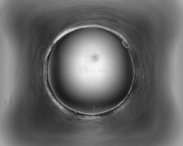 X0000087561526200704271217