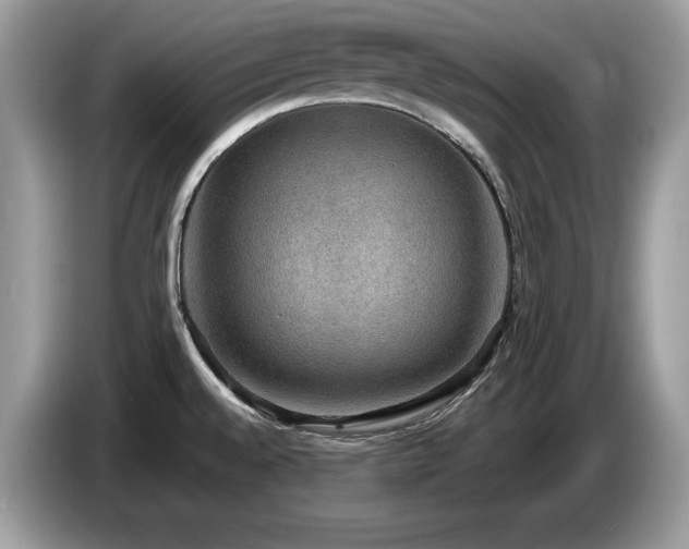 X0000087561528200704271217