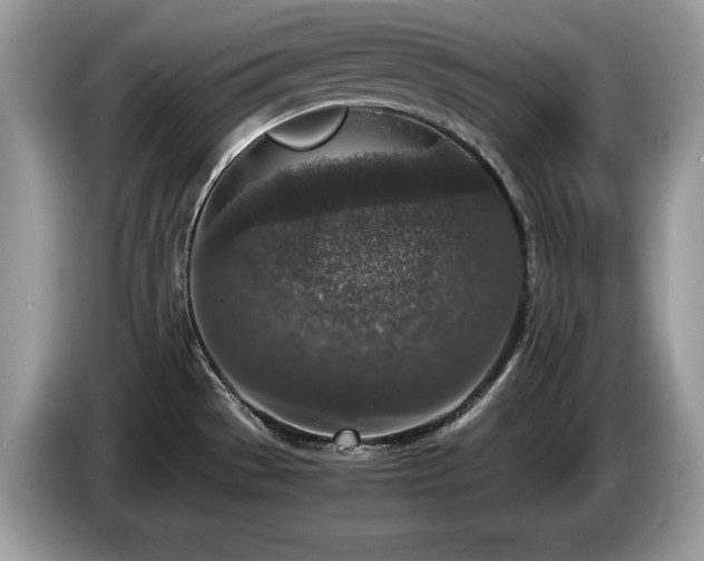X0000087561529200704271217