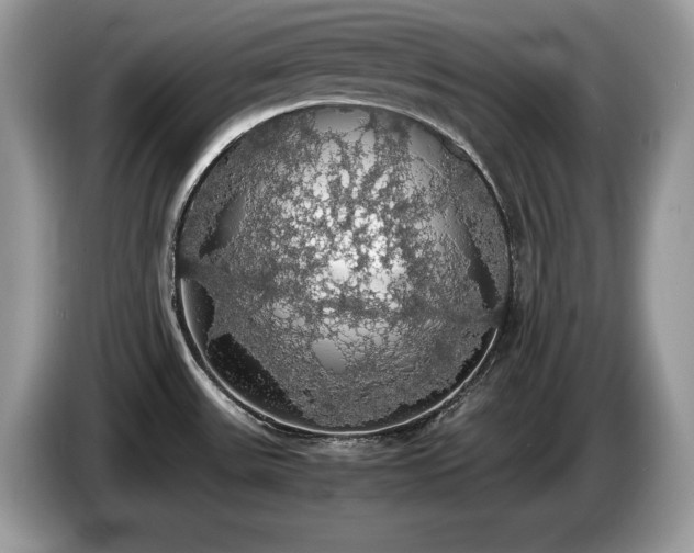 X0000087561531200704271217