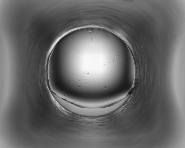 X0000087561532200704271217