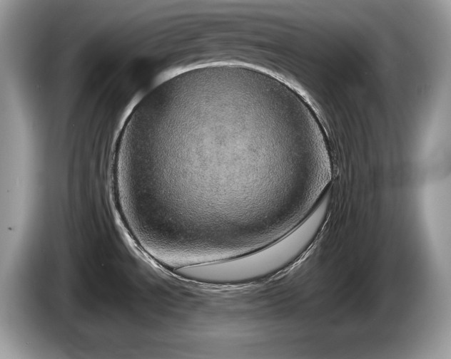 X0000087561534200704271217