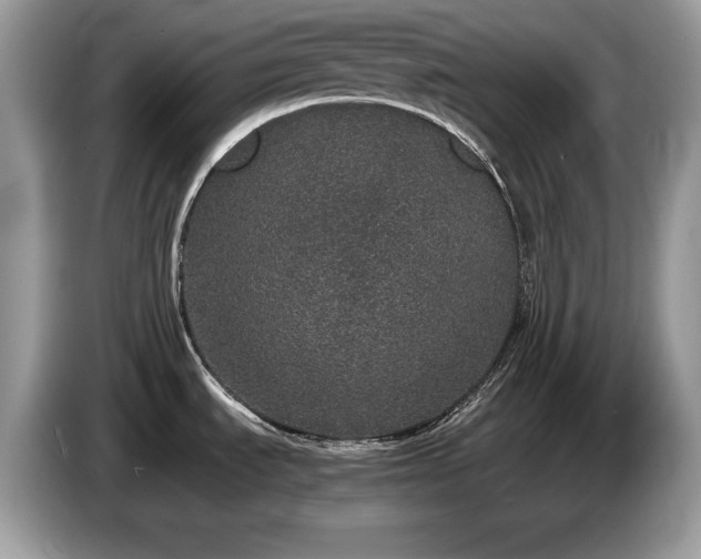 X0000087561535200704271217