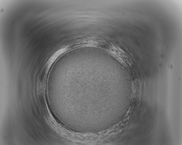 X0000087560003200705041405
