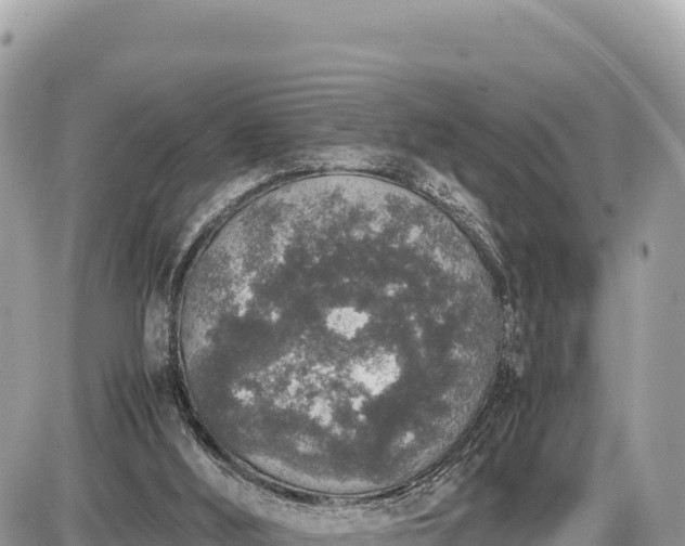 X0000087560012200705041404