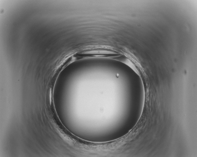 X0000087560013200705041404