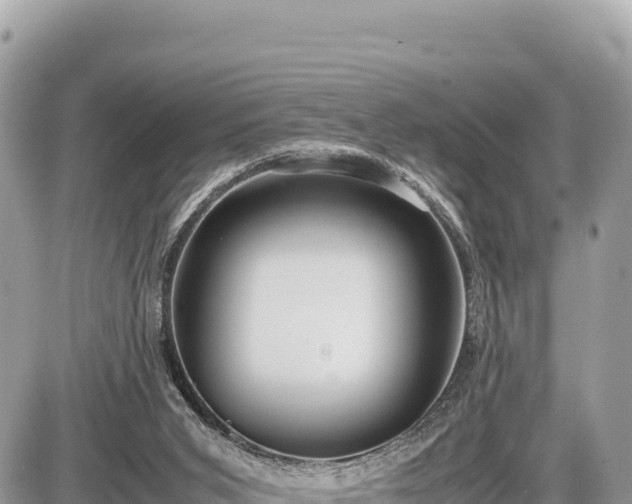 X0000087560015200705041404