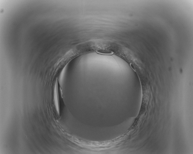 X0000087560027200705041404