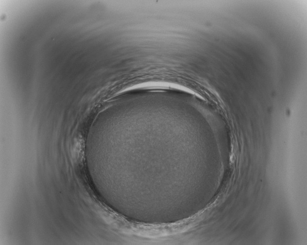 X0000087560029200705041404