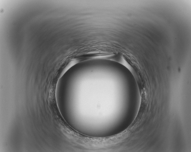 X0000087560037200705041404