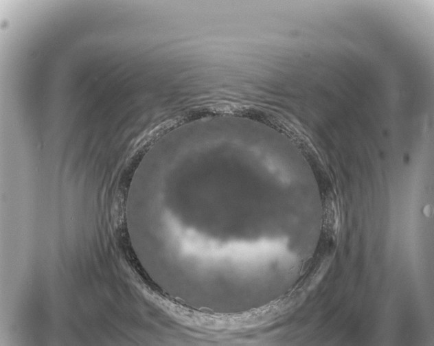 X0000087560043200705041404