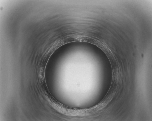 X0000087560044200705041404