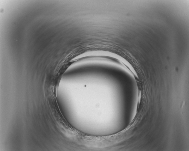 X0000087560045200705041404