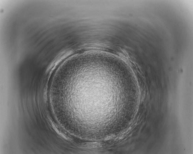 X0000087560050200705041403