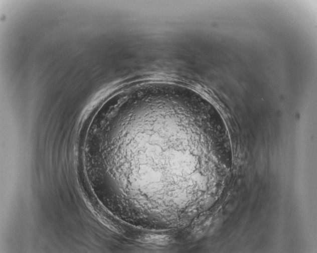 X0000087560055200705041403
