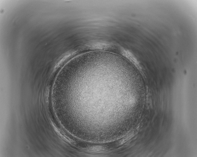 X0000087560058200705041403