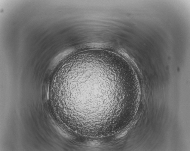 X0000087560062200705041403