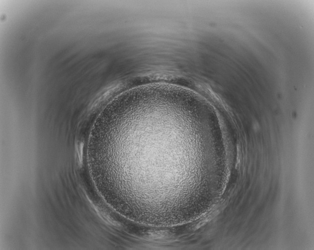 X0000087560070200705041403